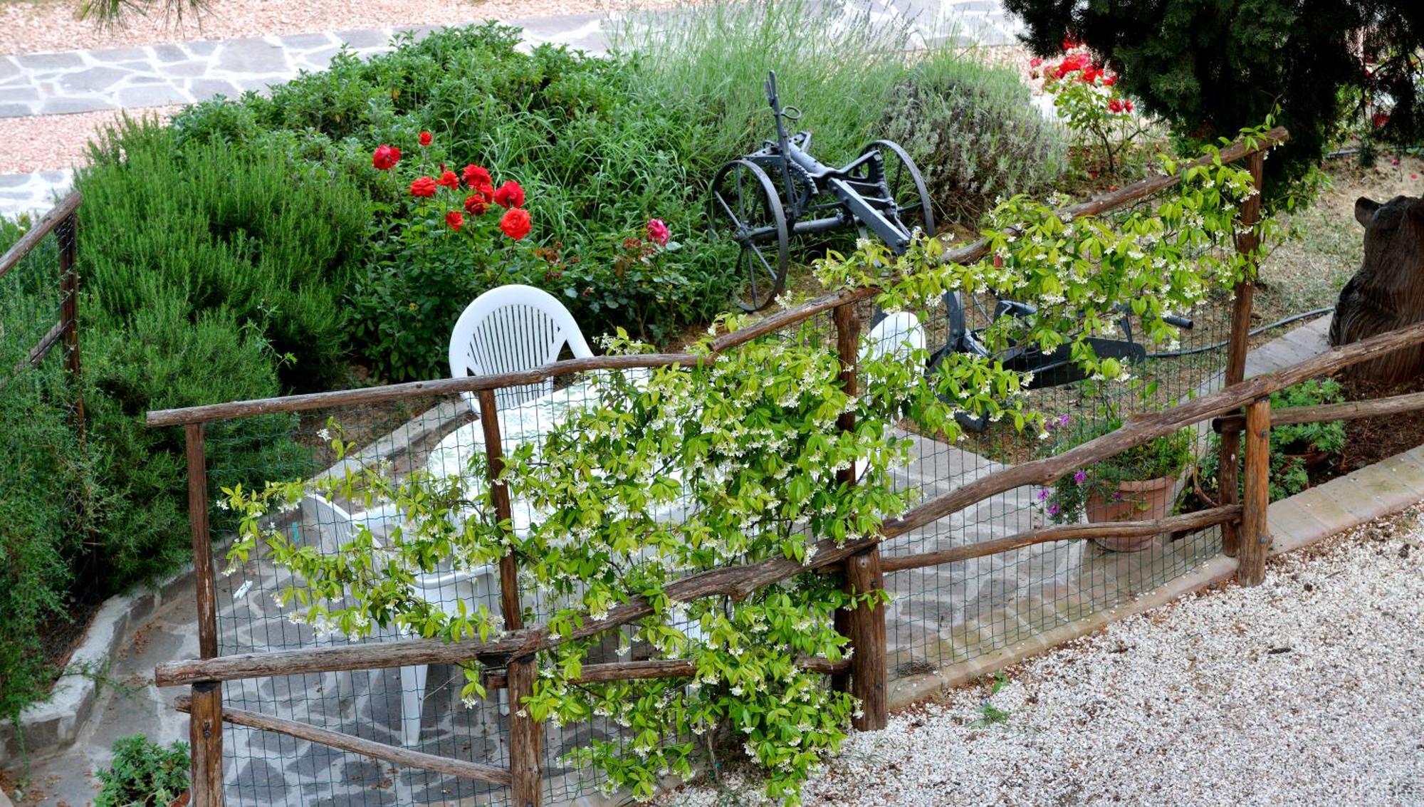 Agriturismo San Severo Passignano sul Trasimeno Quarto foto