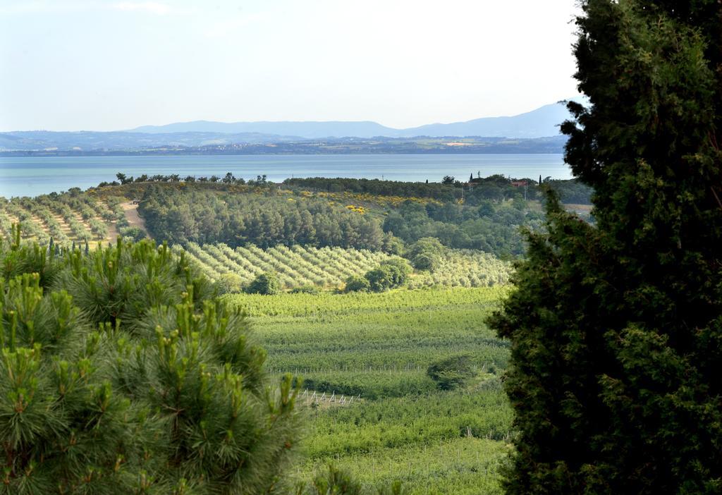 Agriturismo San Severo Passignano sul Trasimeno Exterior foto
